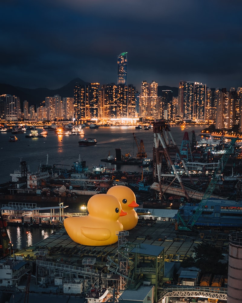 荷蘭藝術家 Florentijn Hofman 創作《橡皮鴨二重暢》即將登陸香港維多利亞港
