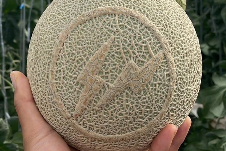 藤原浩攜手 Shiki Farmers Club 推出「定製閃電」聯名哈密瓜