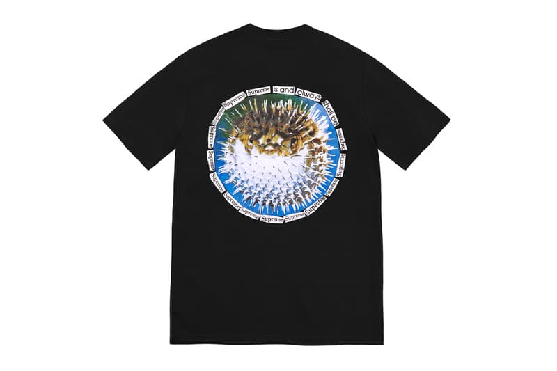 Supreme 2023 夏季系列 Tees 正式登場