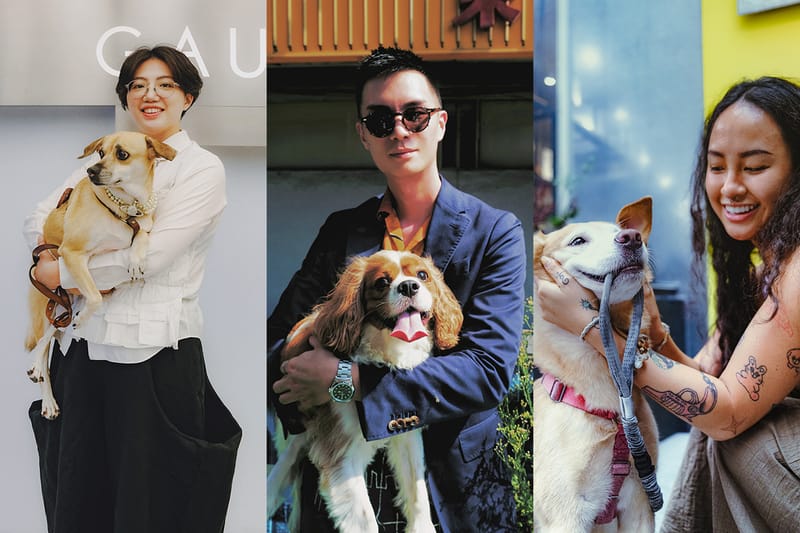 Streetsnaps：日常遛狗穿搭