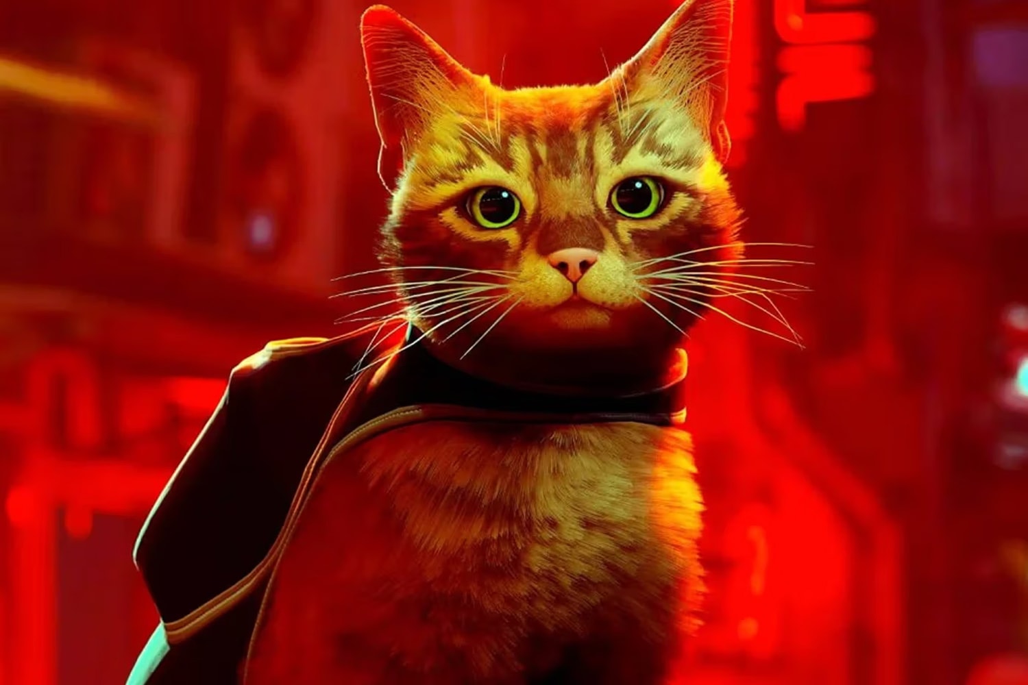 貓咪模擬遊戲《STRAY》確定推出改編動畫電影