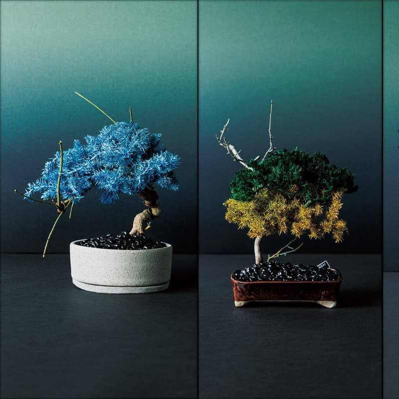 RE BONSAI™ by TOUFU TOKYO 乾盆栽東富東京全新個展即將登場