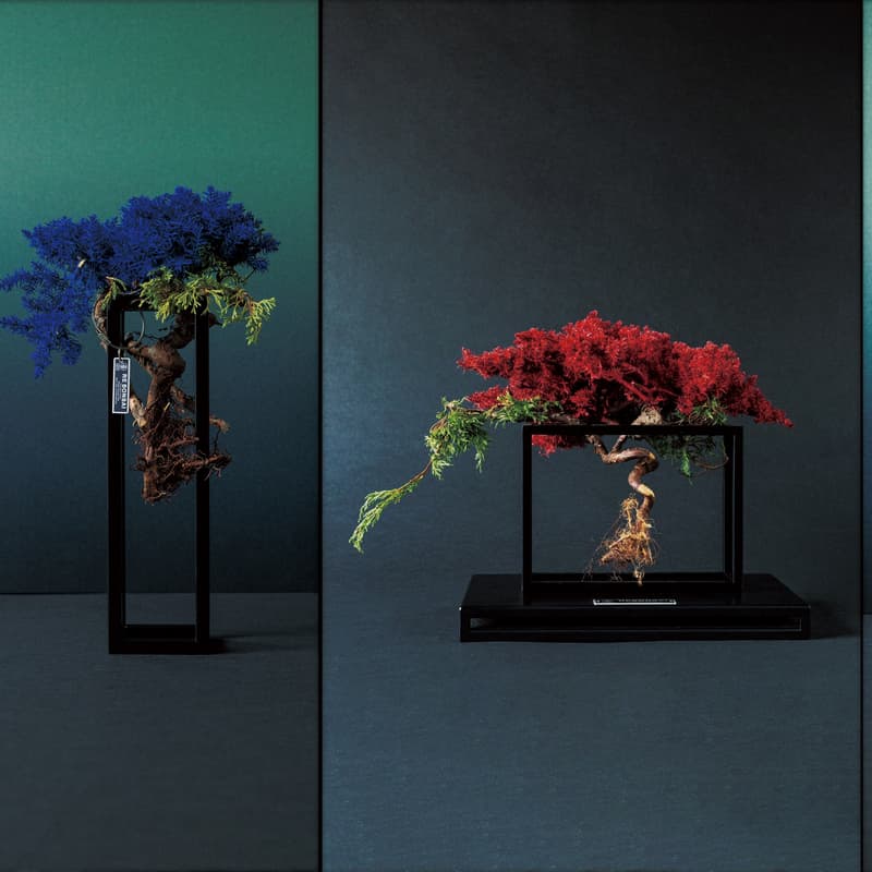 RE BONSAI™ by TOUFU TOKYO 乾盆栽東富東京全新個展即將登場