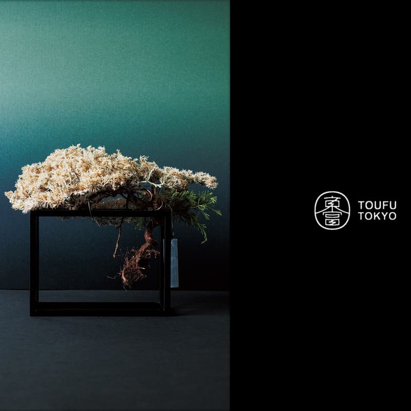 RE BONSAI™ by TOUFU TOKYO 乾盆栽東富東京全新個展即將登場