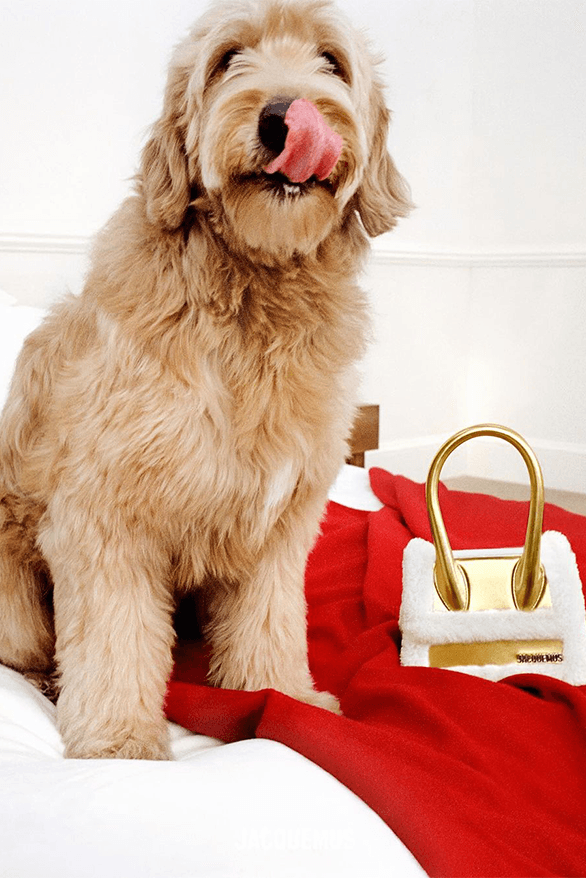 BLACKPINK Jennie 出鏡演繹 Jacquemus 2023 假期系列大片「GUIRLANDE」