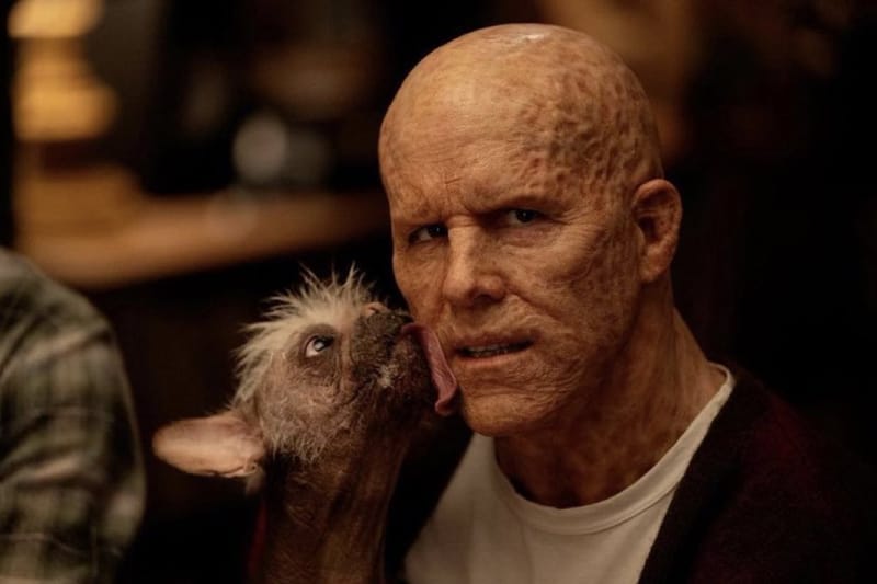 Marvel 2024 年度大片《死侍 Deadpool 3》最新劇照率先曝光