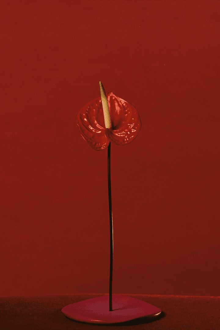 Byredo 正式發佈 2024 新年限定陶瓷系列「Coming Home 年味」