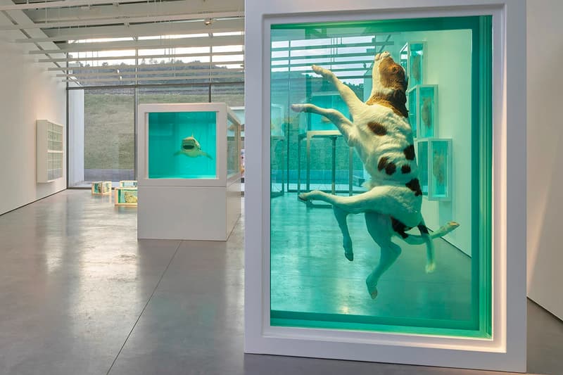 Damien Hirst 全新展覽《The Light That Shines》正式登場