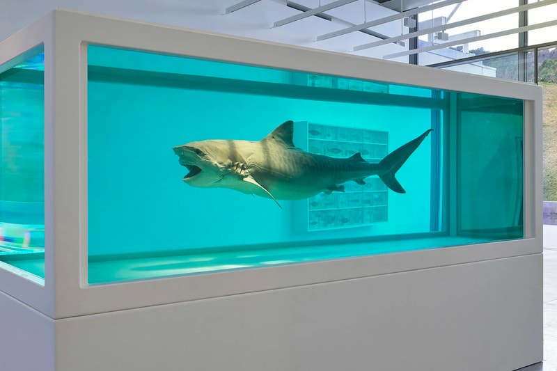 Damien Hirst 全新展覽《The Light That Shines》正式登場