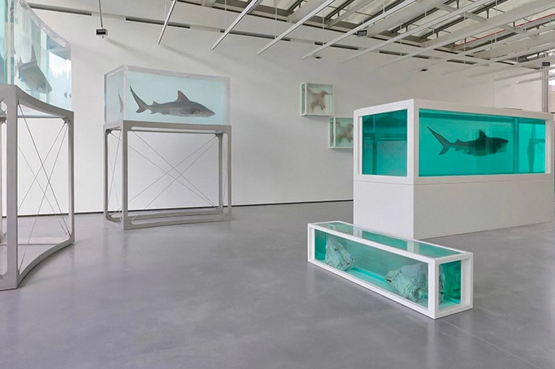 Damien Hirst 全新展覽《The Light That Shines》正式登場