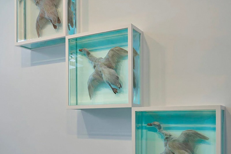 Damien Hirst 全新展覽《The Light That Shines》正式登場