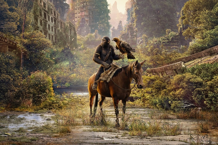 《猩球崛起/猿人爭霸戰》系列最終章《Kingdom of the Planet of the Apes》全新 IMAX 版本預告來襲