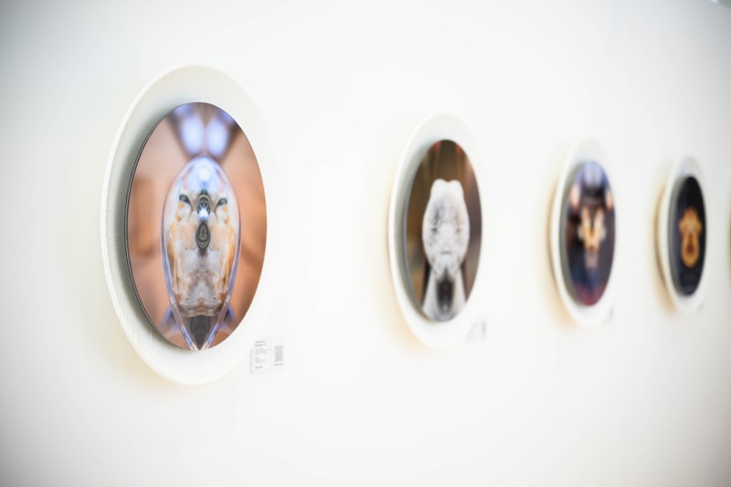 梁大偉最新個人作品展《見餐不是餐：see food NOT see food》