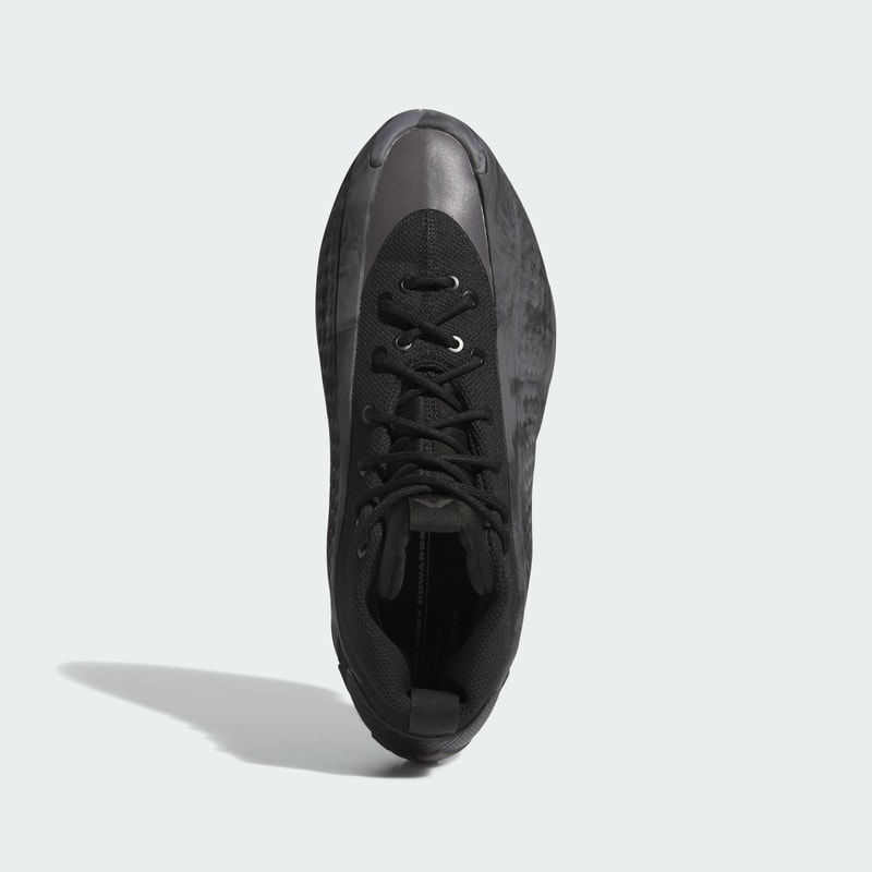 Anthony Edwards 簽名戰靴 adidas AE1 Low 首發配色「Ascent」台灣發售情報正式公開
