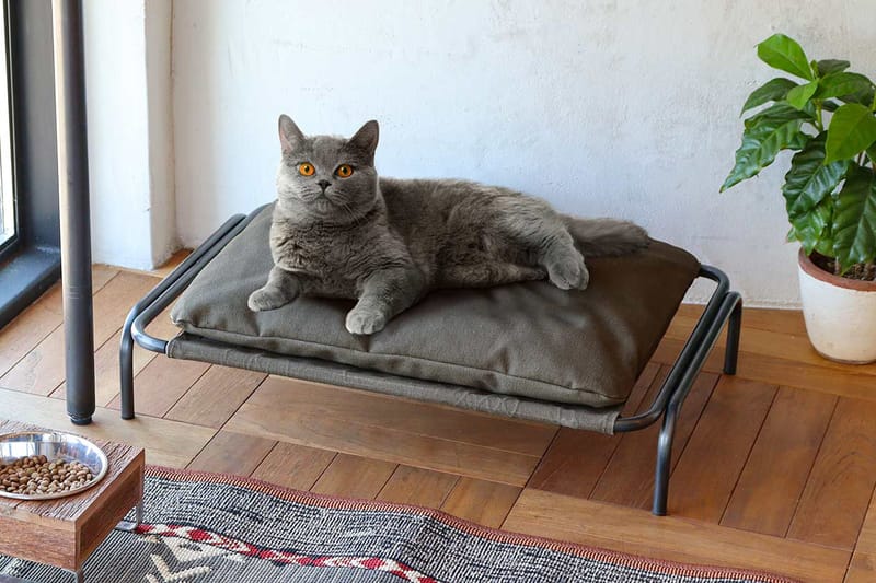 POST GENERAL 最新寵物系列 GROOM by POST GENERAL 正式登場