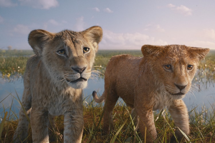 Disney 真人版電影《獅子王:木法沙》釋出 D23 獨家最新預告