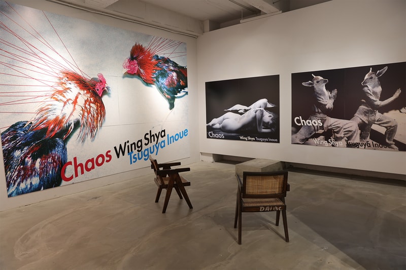 走進香港攝影師夏永康、日本設計師井上嗣也全新合作展覽《Chaos》