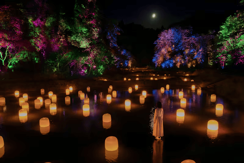 走進 teamLab 日本茨城全新展覽《Hidden Traces of Rice Terraces》