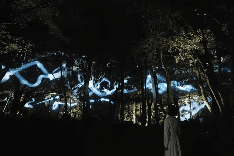 走進 teamLab 日本茨城全新展覽《Hidden Traces of Rice Terraces》