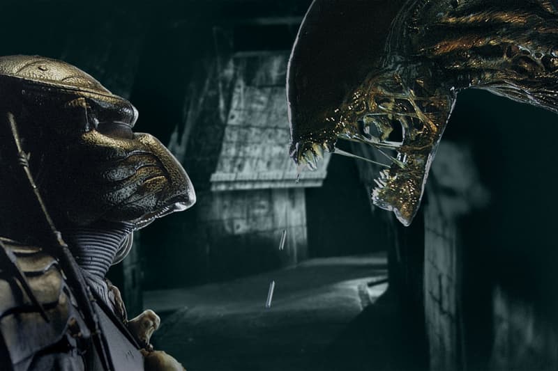 《異形:羅穆路斯》正式宣佈將推出續集,《Alien vs. Predator》有望推出新作