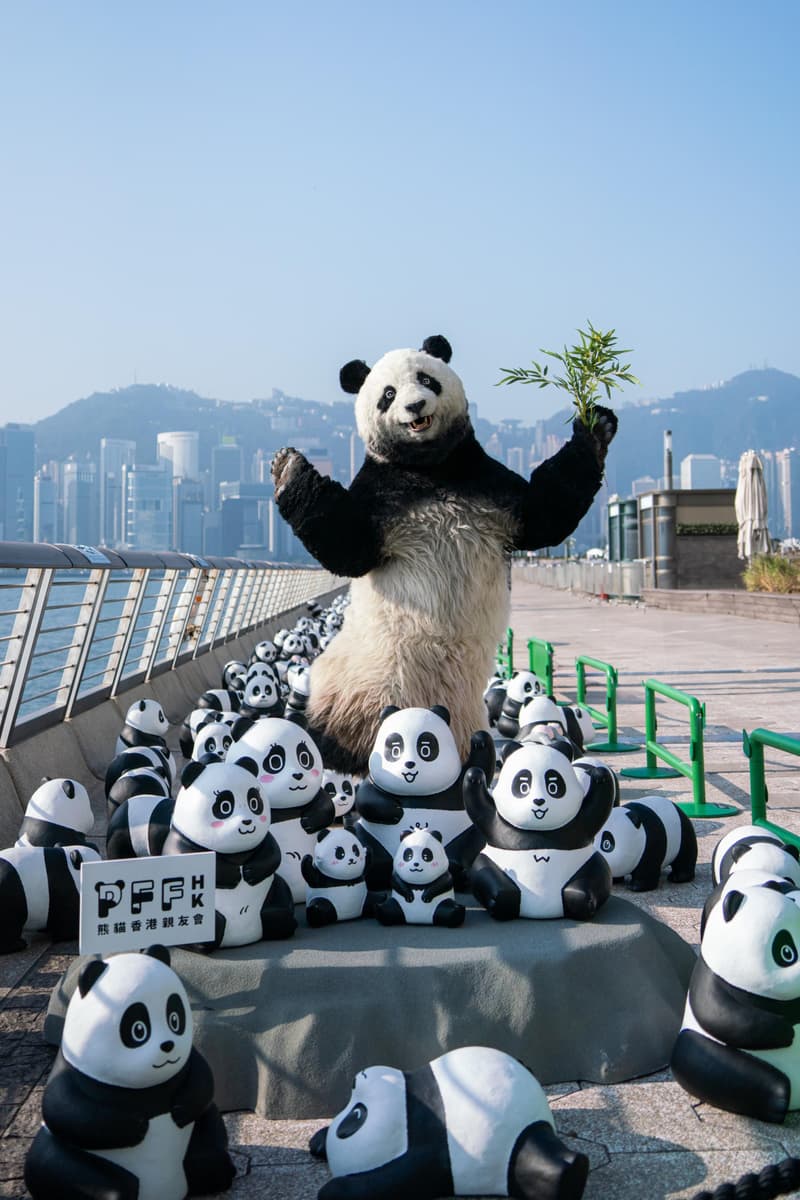 全港最大型熊貓主題展《PANDA GO!香港遊》 首站正式開催