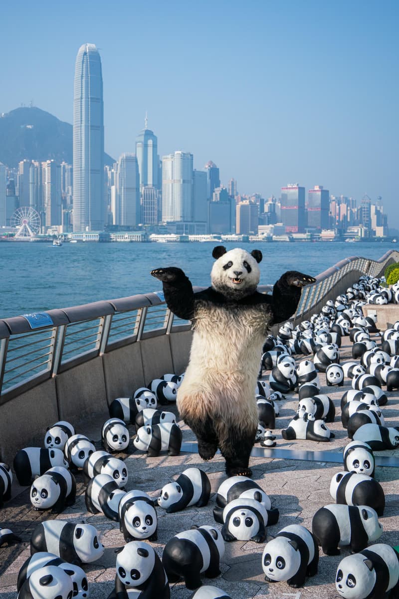 全港最大型熊貓主題展《PANDA GO!香港遊》 首站正式開催