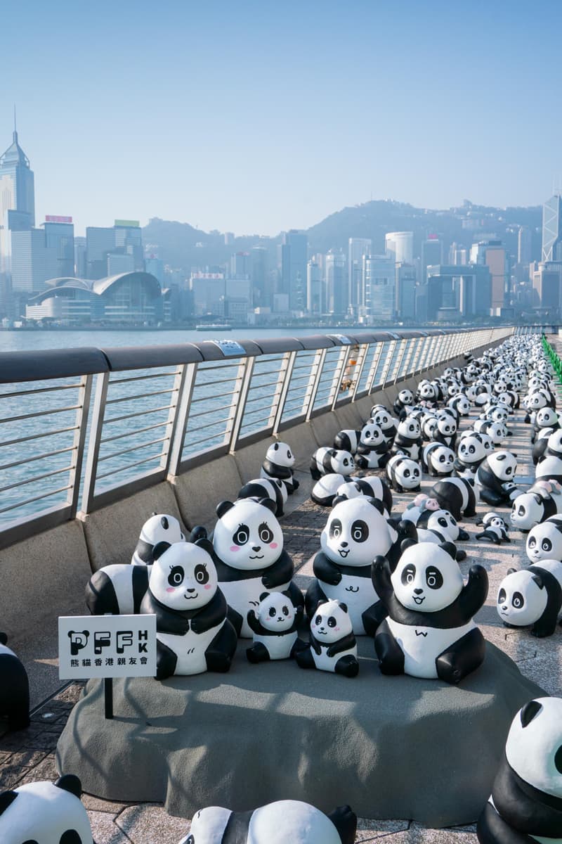 全港最大型熊貓主題展《PANDA GO!香港遊》 首站正式開催