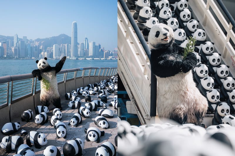 全港最大型熊貓主題展《PANDA GO！香港遊》 首站正式開催