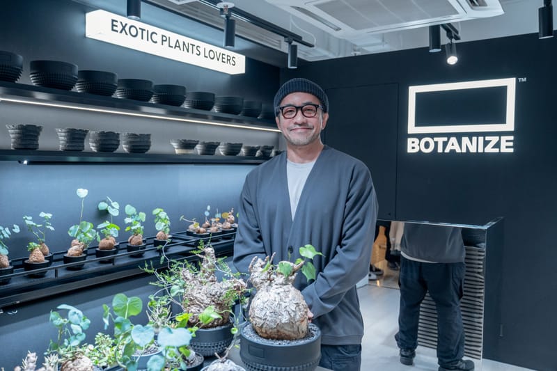 Hypebeast 專訪塊根植物創意單位 BOTANIZE 主理人橫町健：從塊根植物到跨界潮流，探索園藝無限可能