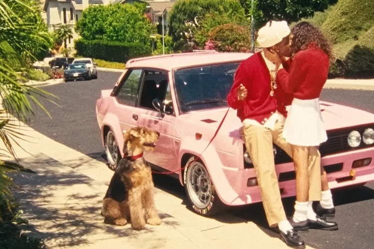 為什麽時尚界更關注狗?而不是貓?