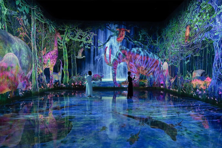 擴大 1.5 倍!teamLab Planets TOKYO 推出全新互動體驗設施