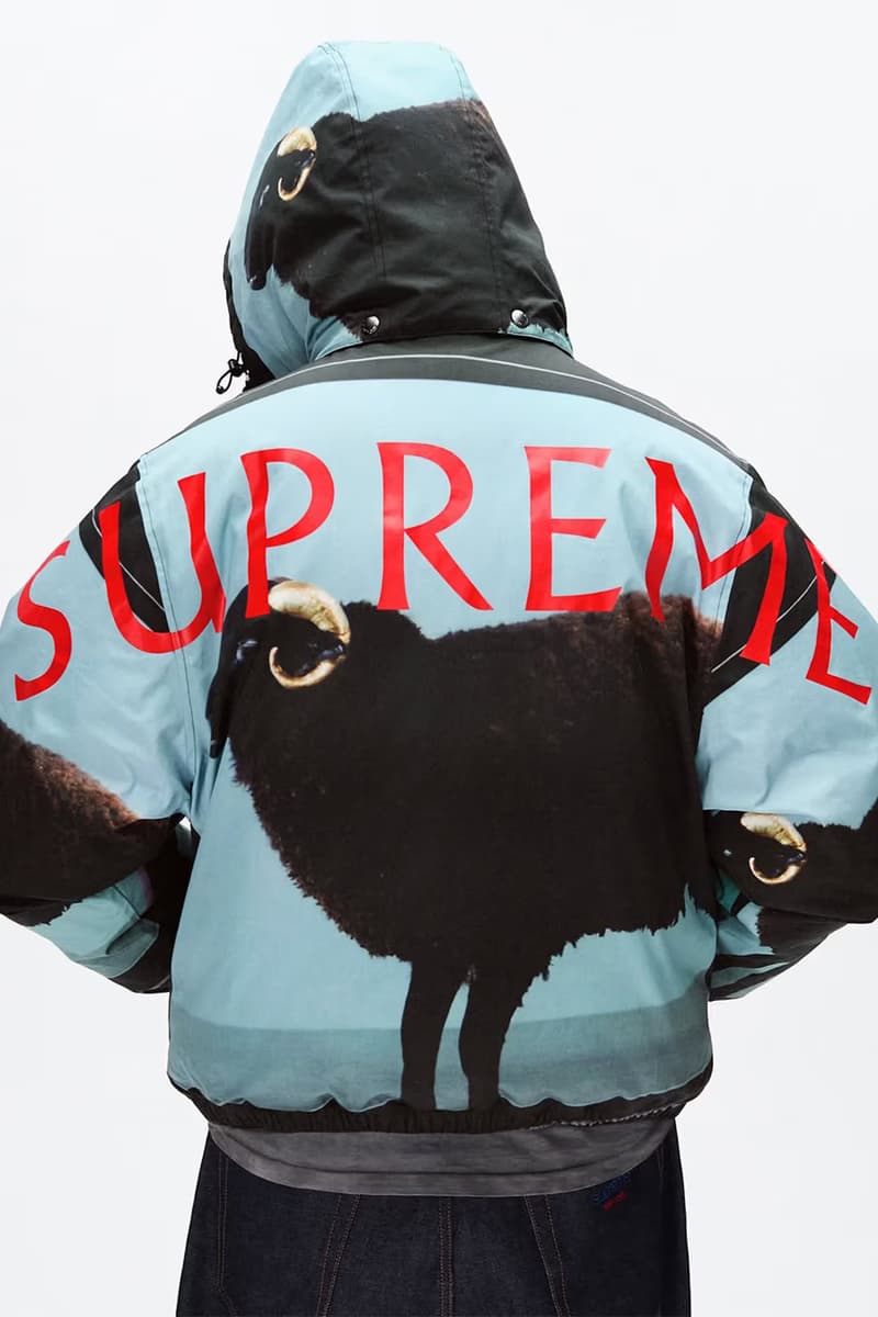 Supreme 2025 春夏系列預告率先公開