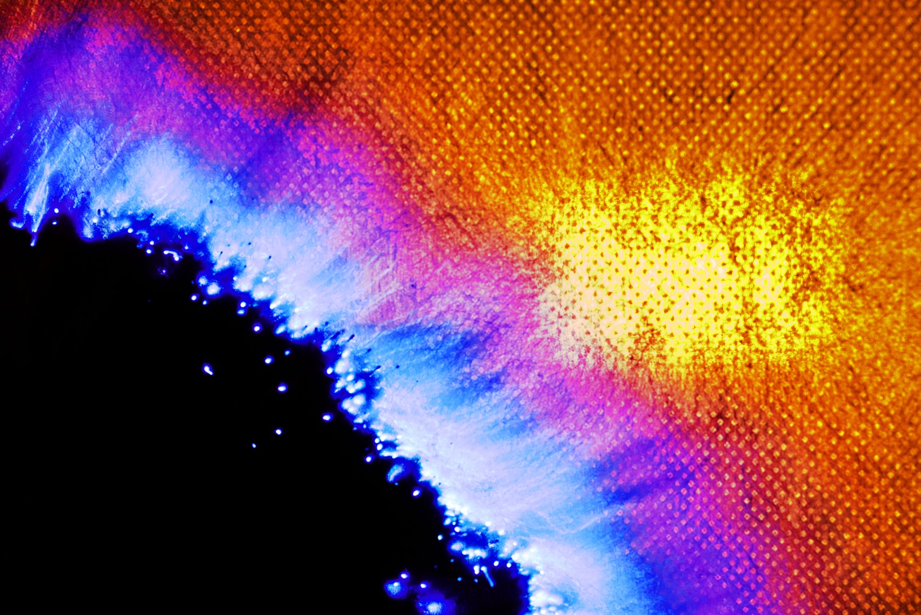 Mastery Collides: Wing Shya Showcases Hong Kong's Innovation and Technology Masterpiece Through an Artistic Lens