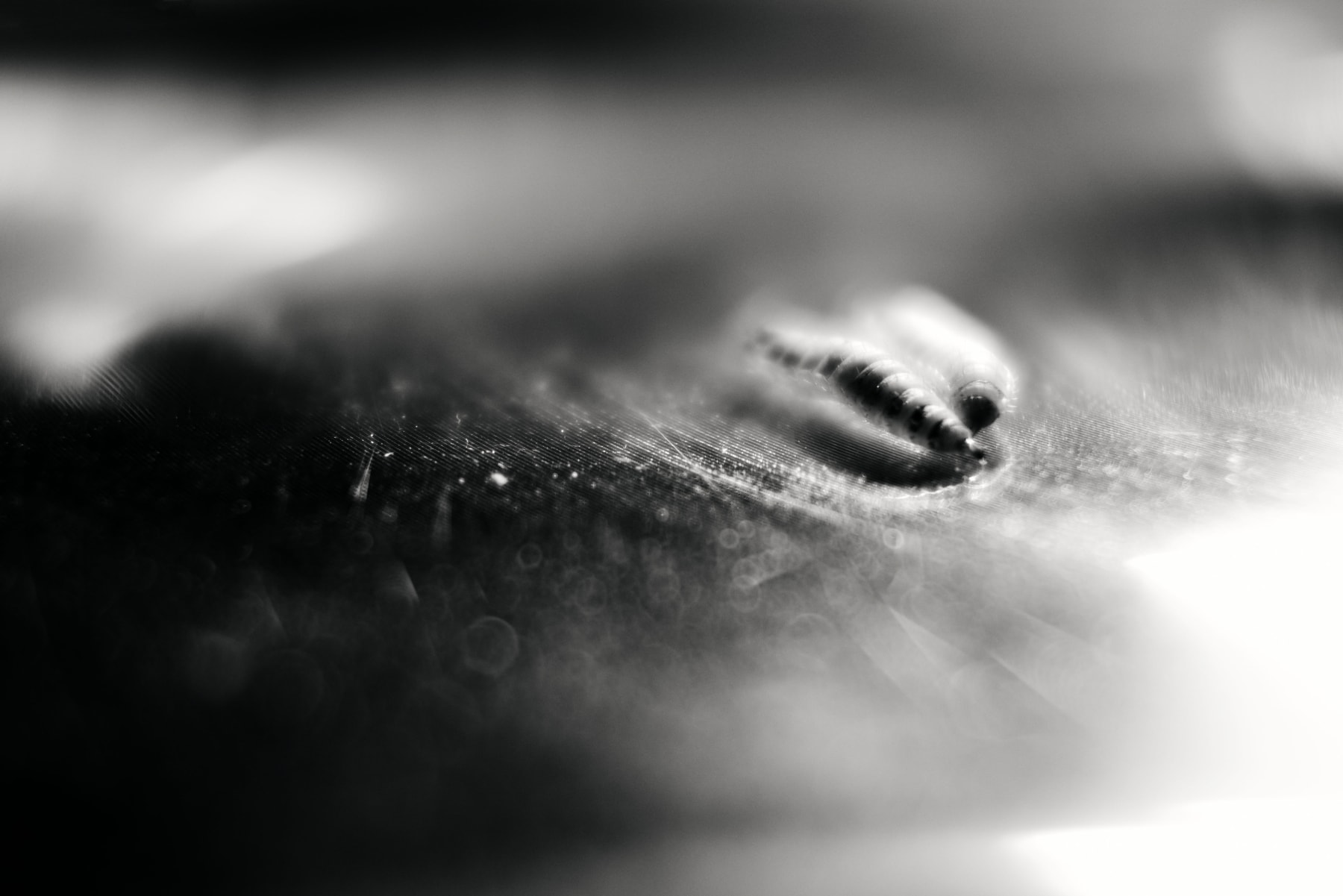 Mastery Collides: Wing Shya Showcases Hong Kong's Innovation and Technology Masterpiece Through an Artistic Lens