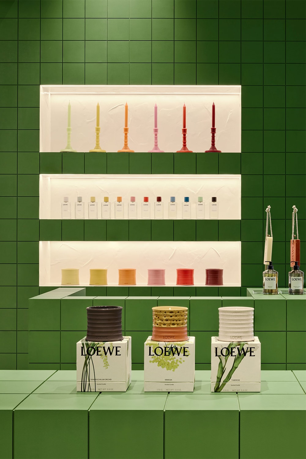 LOEWE 正式推出兩款戶外香氛蠟燭新作：「生薑」與「馬鞭草」