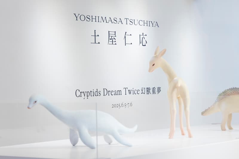 「精靈系木雕」大師土屋仁応香港首展《Cryptids Dream Twice（幻獸重夢）》登陸海港城美術館