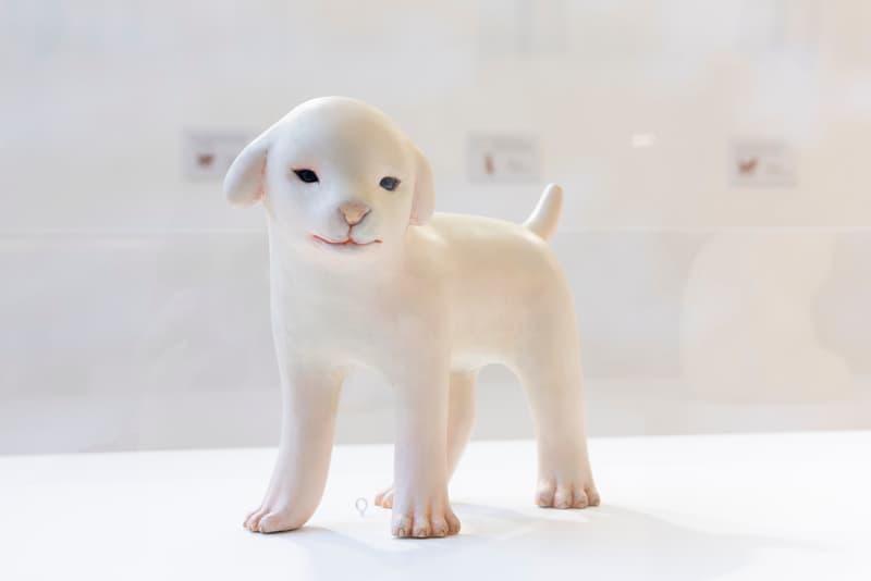 「精靈系木雕」大師土屋仁応香港首展《Cryptids Dream Twice（幻獸重夢）》登陸海港城美術館