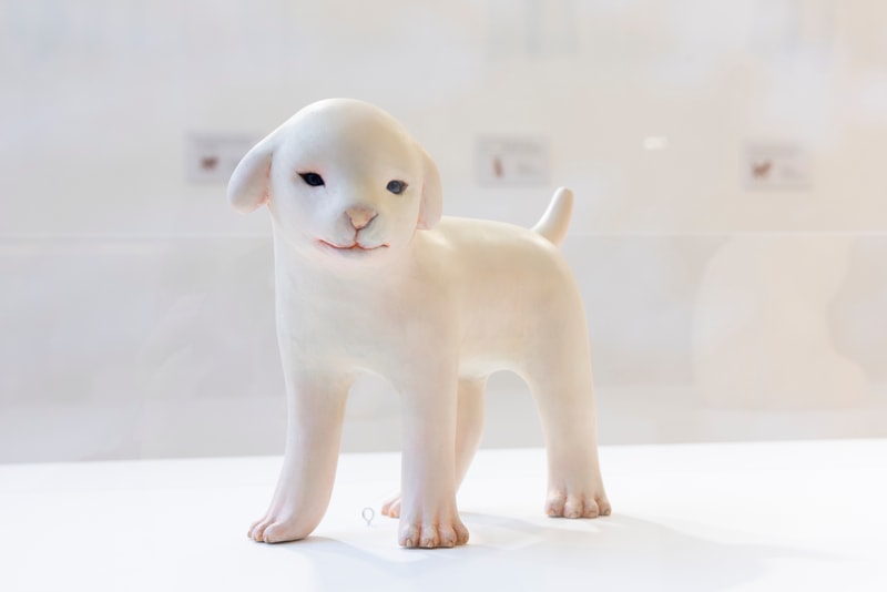 「精靈系木雕」大師土屋仁応香港首展《Cryptids Dream Twice（幻獸重夢）》登陸海港城美術館