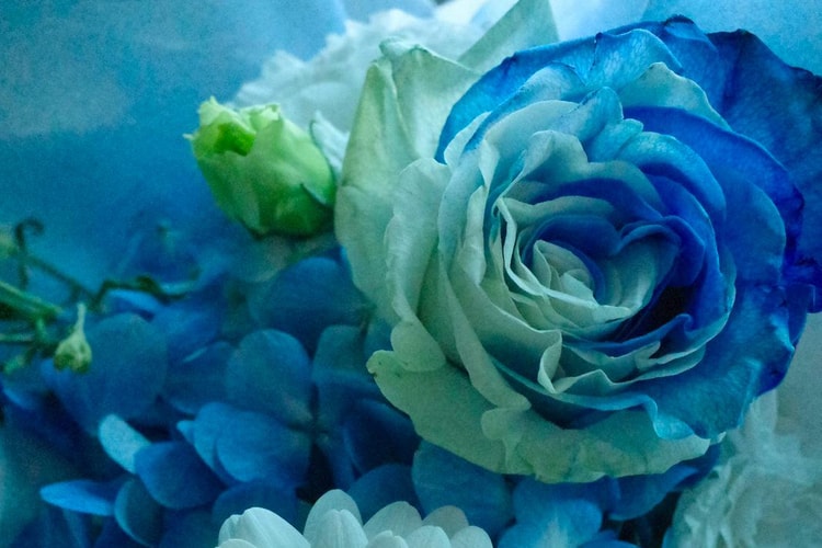 三十而立.三吉彩花攝影創作紀實 #5「LIGHT BLUE」