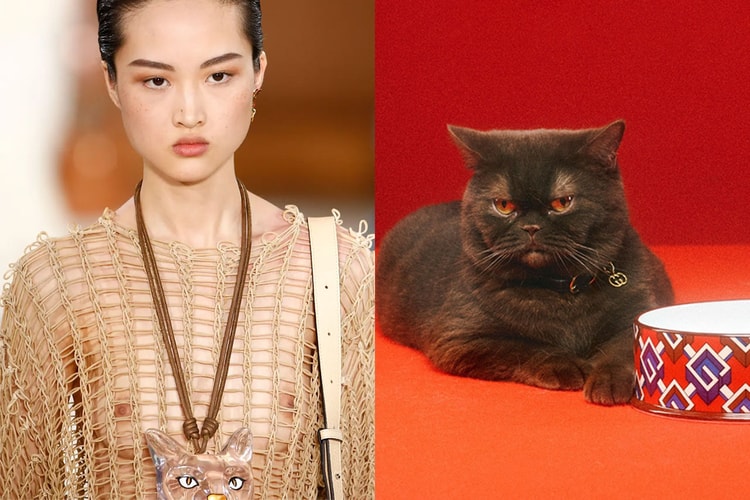 貓咪 × 時尚最強合集:從 Louis Vuitton 走到 Loewe