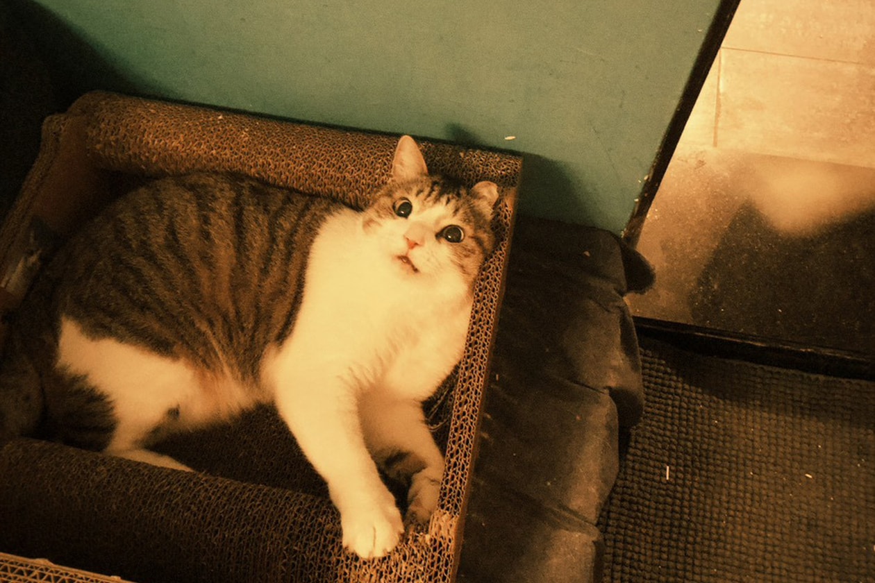 專訪 someshiit 山姆：我覺得每個人，終究都還是在乎他人眼光的