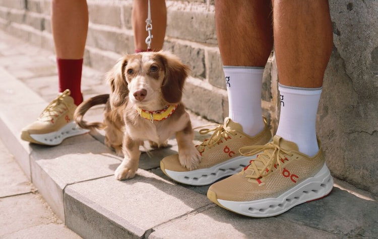 靈感源自奔騰馬蹄!On 推出 2026「馬年」限定系列