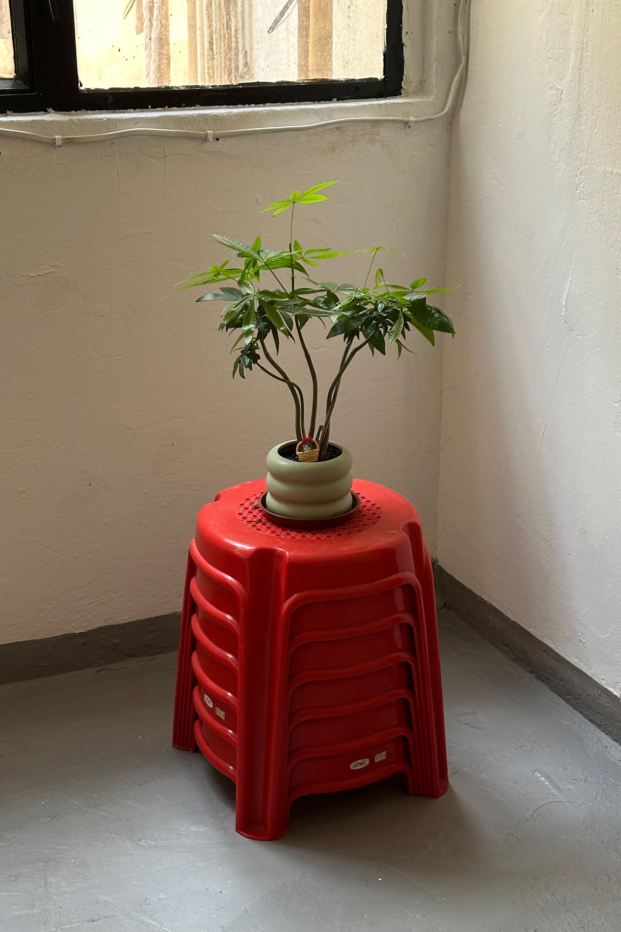 專訪 Hypebeast Twenty T-Shirt Exhibition 藝術裝置設計師 Orange Terry