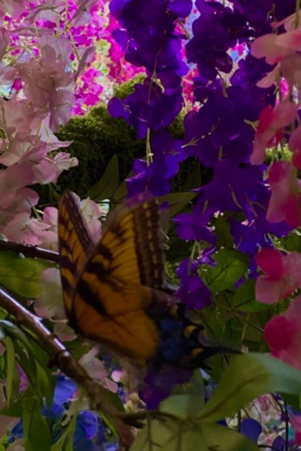 三十而立．三吉彩花攝影創作紀實 #10「PURPLE」