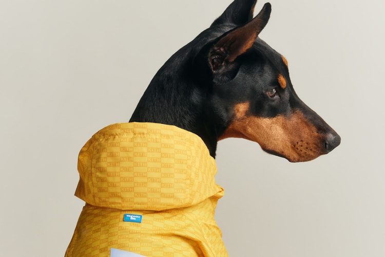 Kith for wagwear:為主子而生的潮狗新品