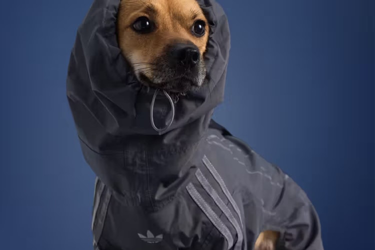 adidas Pet Fall 2025 Collection 日本限定登場|寵物潮流秋季系列即將發售
