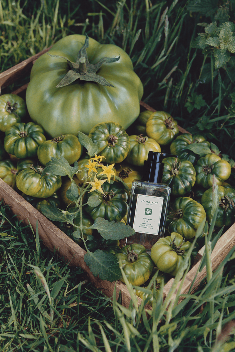 探索田園香氣新境：Jo Malone London 釋出全新「英倫蔬果園」限量香氛系列