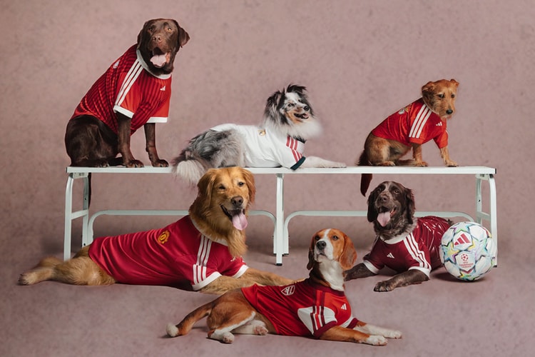 adidas Originals 為寵物推出 Real Madrid 與 Manchester United 球衣