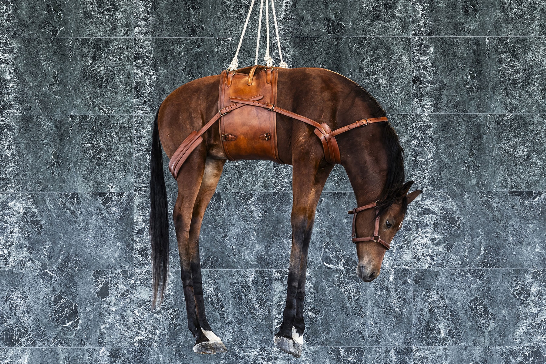 走進 Maurizio Cattelan 關於失敗的「教堂」