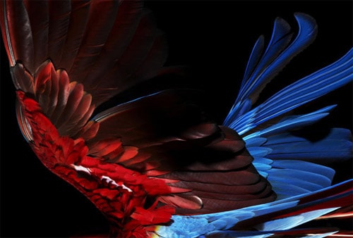 colette Exhibition by Solve Sundsbo